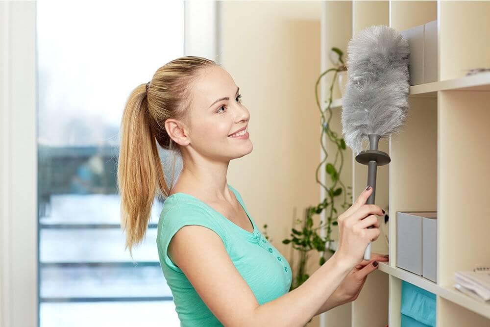 Upholstery Cleaning Wimbledon SW19