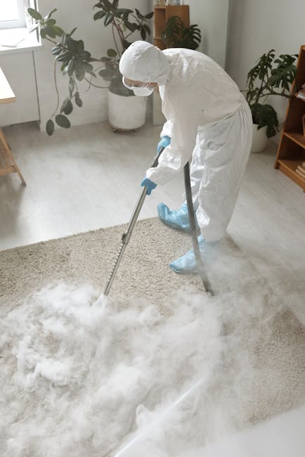A professional cleaner dressed in white protective suit, face mask, and gloves is performing deep cleaning on a light beige carpet in a bright, modern living room. The cleaner is using a steam or carpet cleaning machine, emitting steam or cleaning solution onto the carpet surface. The room features a white-painted wall, a large window with natural light, a potted plant with broad leaves, and a small wooden side table. The carpet appears visibly clean, with some steam or moisture visible on its surface, indicating active sanitation or deep cleaning. The scene reflects routine domestic carpet maintenance, executed by Wimbledon Carpet Cleaning to ensure hygiene and surface freshness.