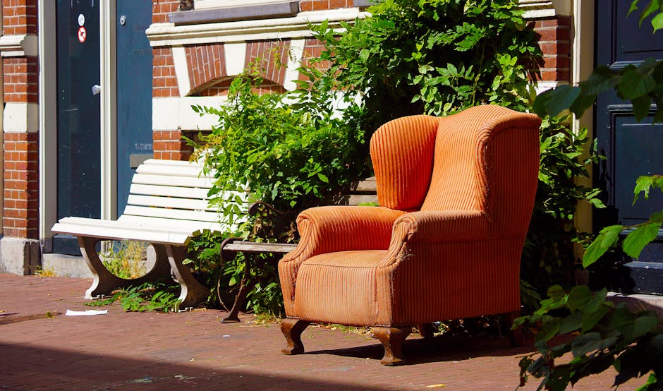 An outdoor scene in Wimbledon Village showing an orange upholstered armchair with a scalloped back and wooden legs placed on a brick pavement. Next to the armchair, there is a white wooden bench with metal supports, positioned against a background of a brick building with architectural details, such as a white brick ledge and patterned brickwork. Green leafy shrubs and plants surround the furniture, partially overlapping the armchair and bench. Sunlight illuminates the scene, highlighting the textures of the fabric, wood, and brick surfaces, and casting soft shadows. The area appears tidy and well-maintained, consistent with professional cleaning and maintenance standards associated with Wimbledon Carpet Cleaning.